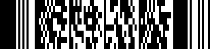 PDF417